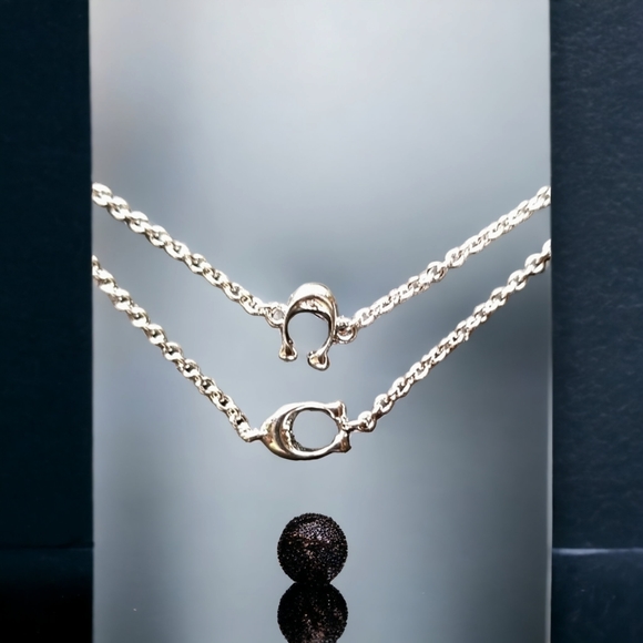 NWT Authentic COACH Signature Long Silvertone Necklace - Picture 5 of 12